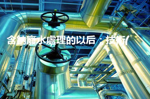 含鈉廢水處理的以后：技術(shù)革新與環(huán)保挑戰(zhàn)！